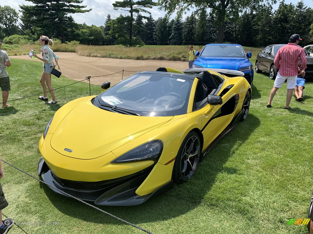 2019 Concours d'Elegance of America at St. John's photo #134708820