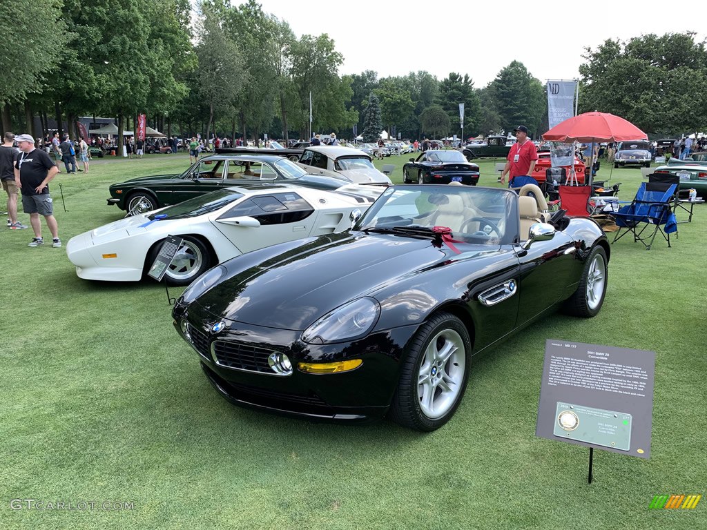 2019 Concours d'Elegance of America at St. John's photo #134708850