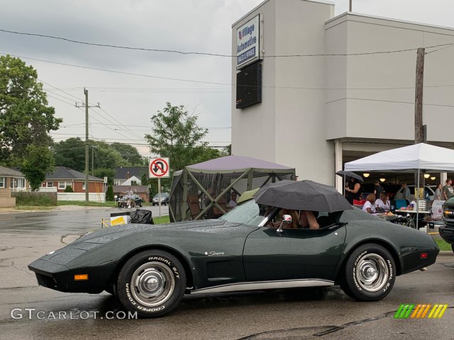 T-Tops and Umbrellas, a rainy day at the Woodward Dream Cruise 