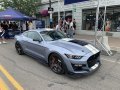 2022 Shelby Mustang GT500