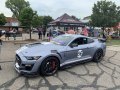 Cruise for Cause Mustang GT500
