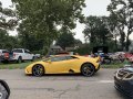 The Lamborghini Gallardo