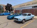 60 years of blue Mustangs