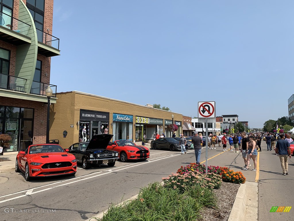 Mustang Alley on 9 mile road at the Woodward Dream Cruise