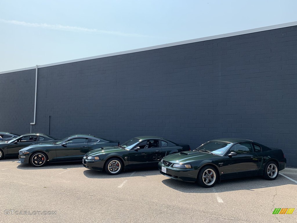 Mustang Bullit Club at the Woodward Dream Cruise