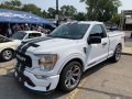 F150 Shelby SuperSnake