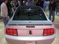2009 Ford Mustang GT Rear
