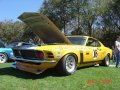 1970 Trans Am Boss 302