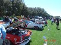 A line up of vintage Trans-Am cars