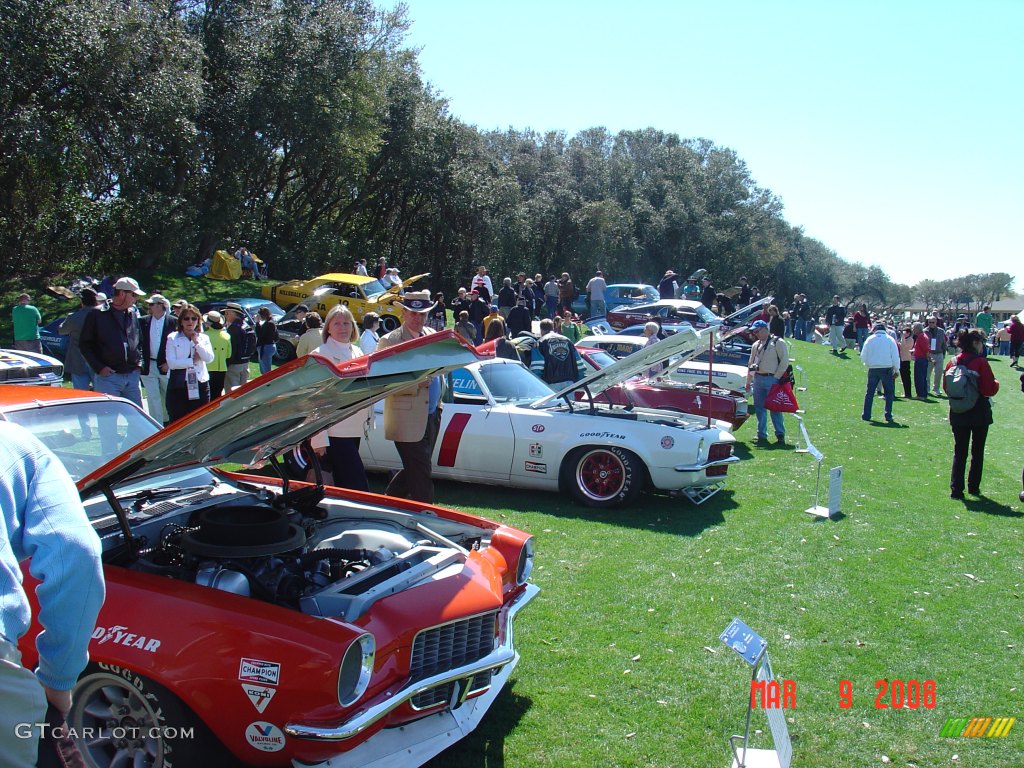 A line up of vintage Trans-Am cars