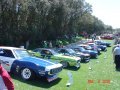 An Incredible collection Trans-Am cars