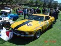 PJs Trans-Am winning 1970 Boss 302