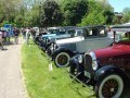 A line up of Willys