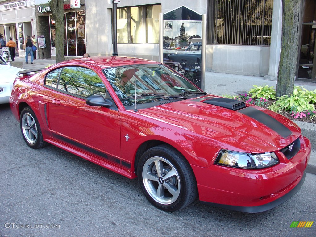 Ford Mustang Mach 1, 2003-2004