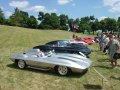 1959 Stingray Special Racer