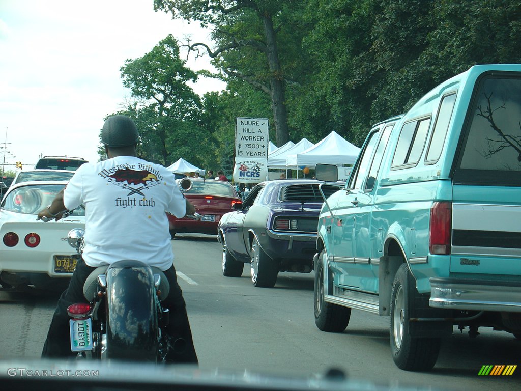 2008 14th Annual Woodward Dream Cruise photo #236116