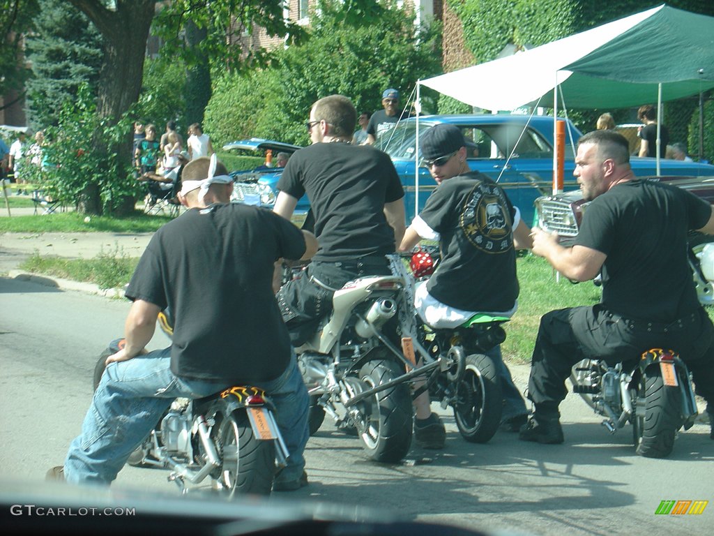 2008 14th Annual Woodward Dream Cruise photo #236119