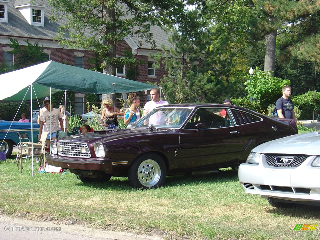 2008 14th Annual Woodward Dream Cruise photo #236120