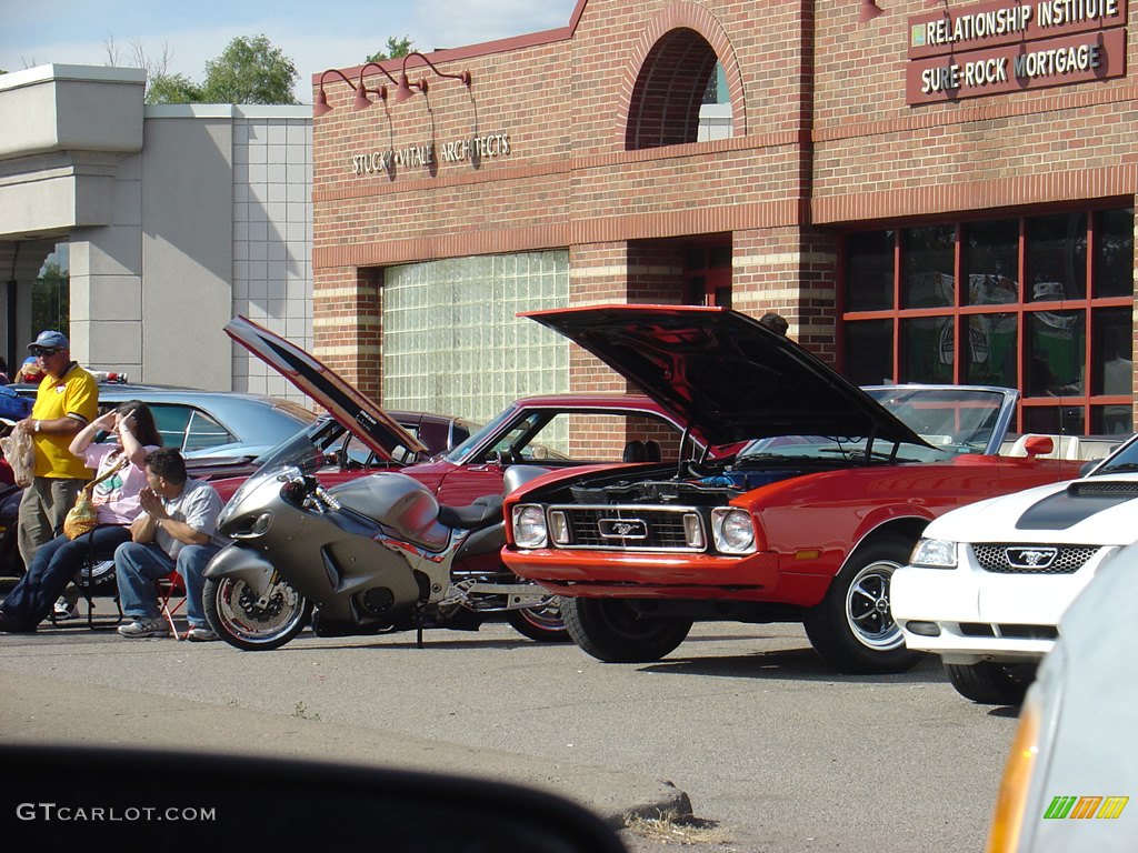 2008 14th Annual Woodward Dream Cruise photo #236125