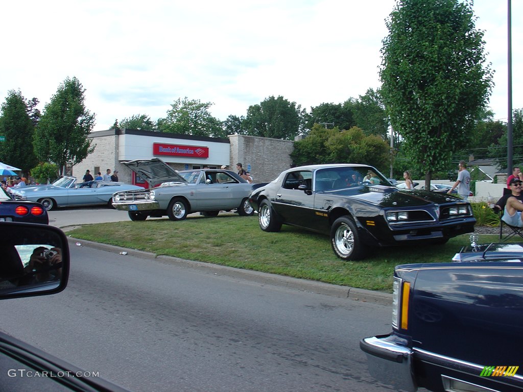 2008 14th Annual Woodward Dream Cruise photo #236132