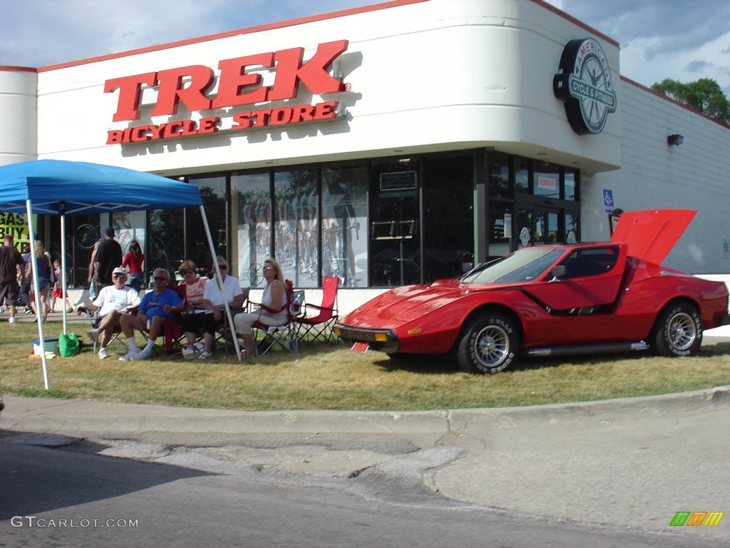 2008 14th Annual Woodward Dream Cruise photo #236149