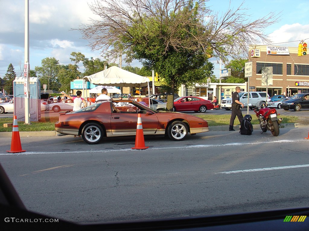 2008 14th Annual Woodward Dream Cruise photo #236175