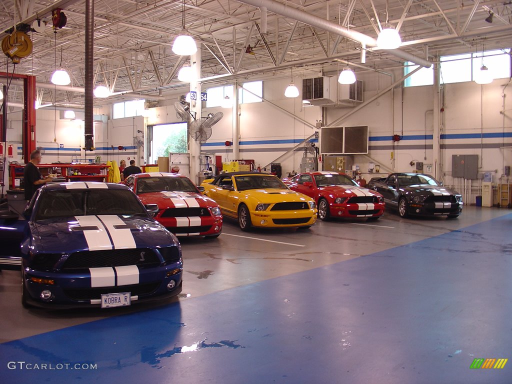 Nice line up of GT500s