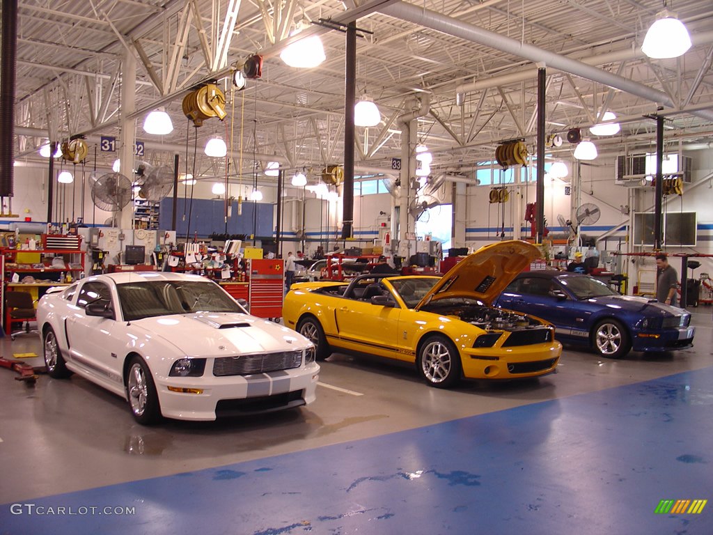 2008 Team Shelby Car Show photo #262337