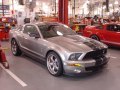 Black on Silver Metallic GT500