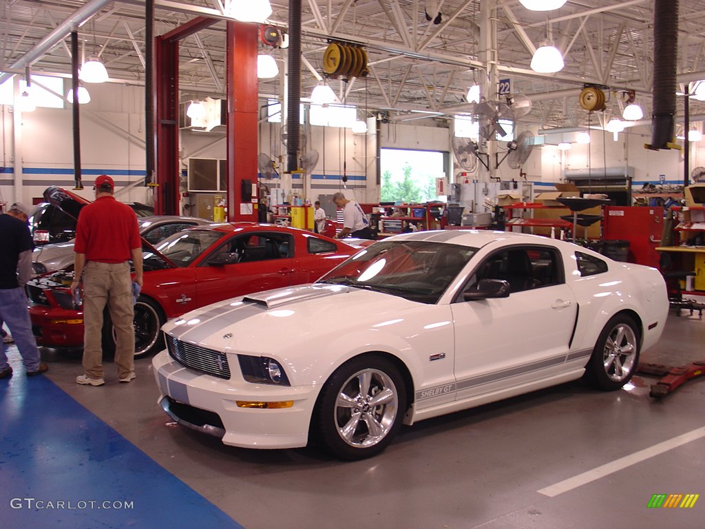 Shelby GT Very sharp in White and Silver