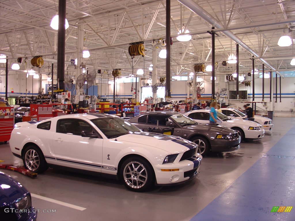 2008 Team Shelby Car Show photo #262342