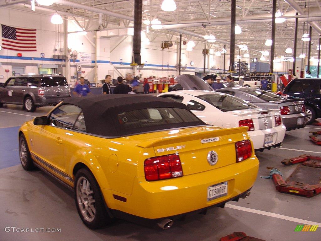 2008 Team Shelby Car Show photo #262350