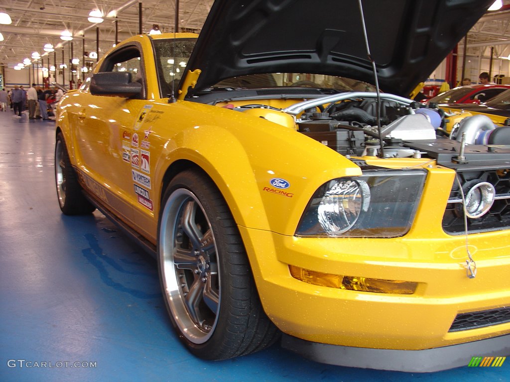 2008 Team Shelby Car Show photo #262356