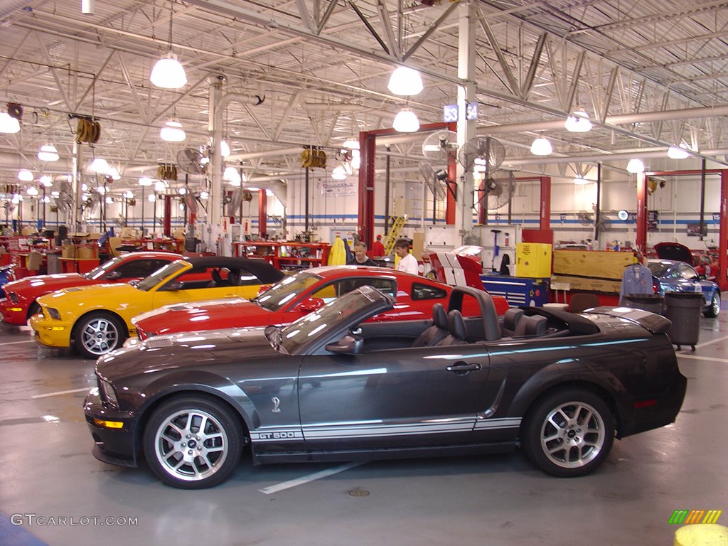 2008 Team Shelby Car Show photo #262358