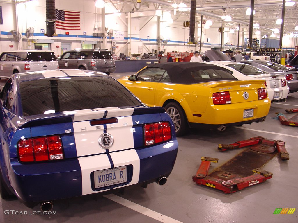 2008 Team Shelby Car Show photo #262359