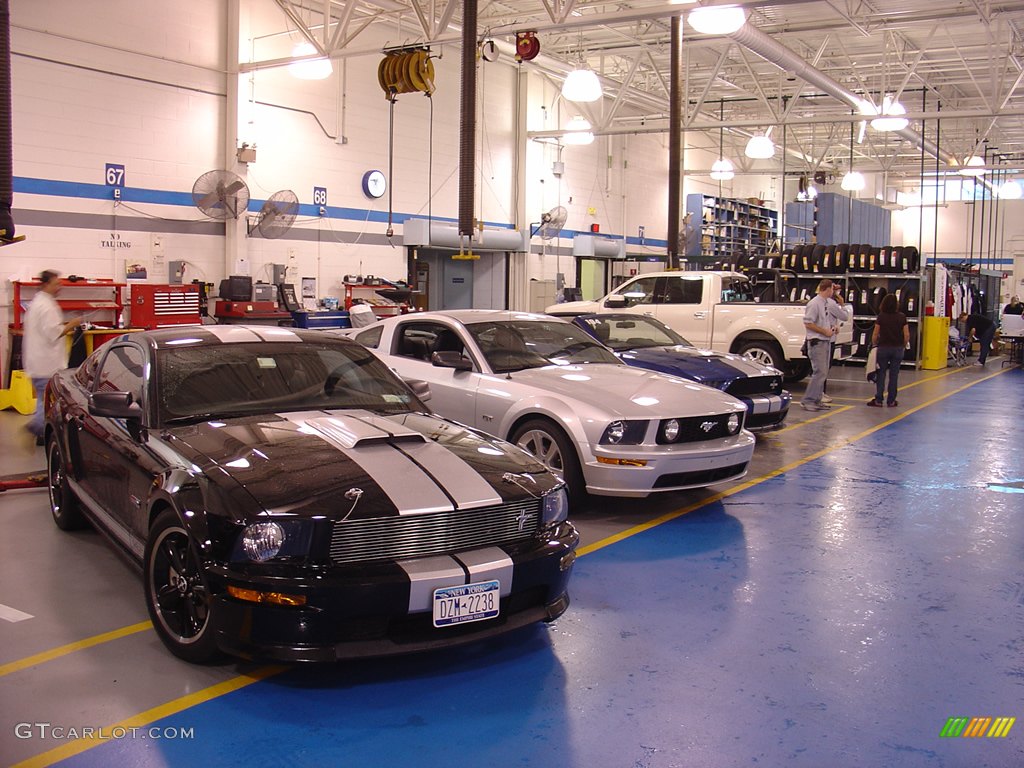 2008 Team Shelby Car Show photo #262360