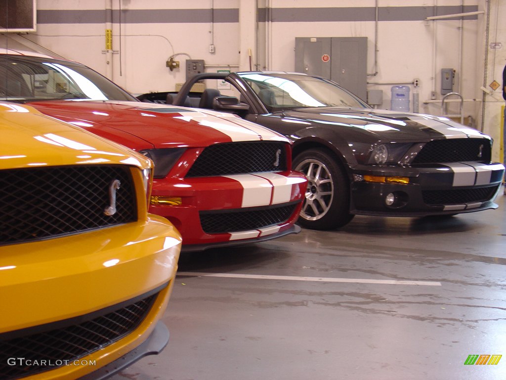 2008 Team Shelby Car Show photo #262364