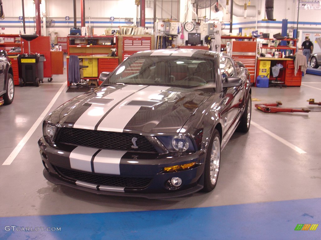 2008 Team Shelby Car Show photo #262368