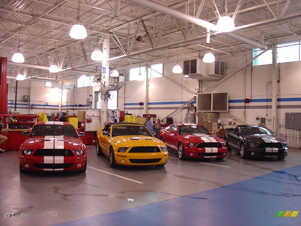 2008 Team Shelby Car Show photo #262369