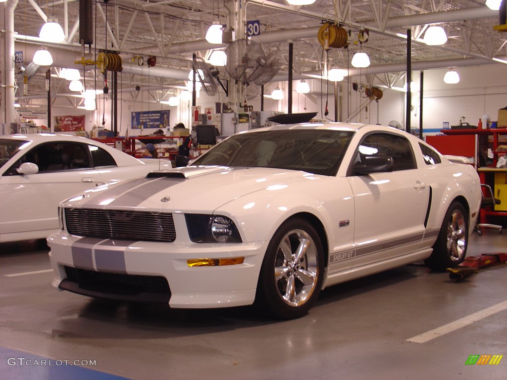 2008 Team Shelby Car Show photo #262372