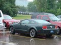 A stray Bullitt in the parking lot