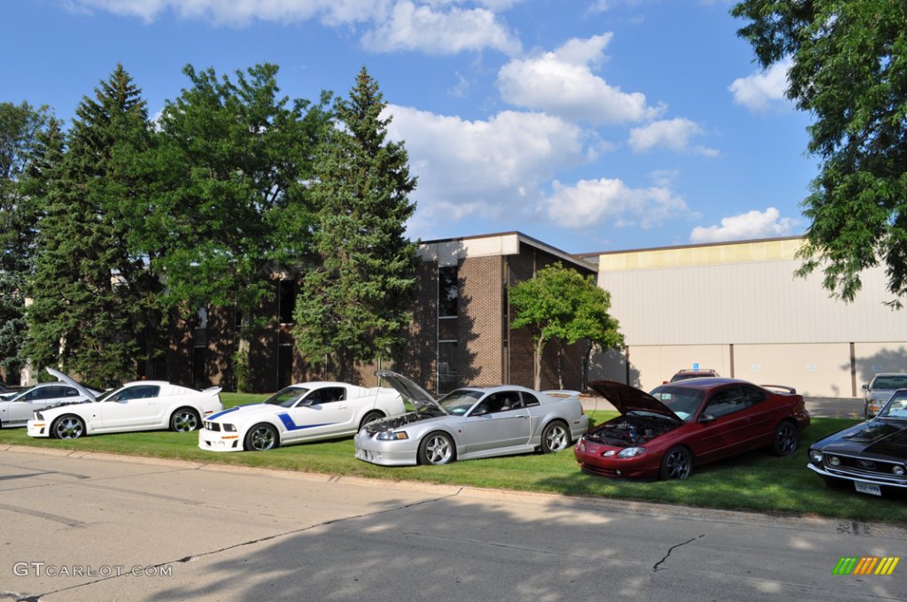 Nice lineup of Fords