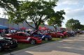 A super line up of Roush Mustangs