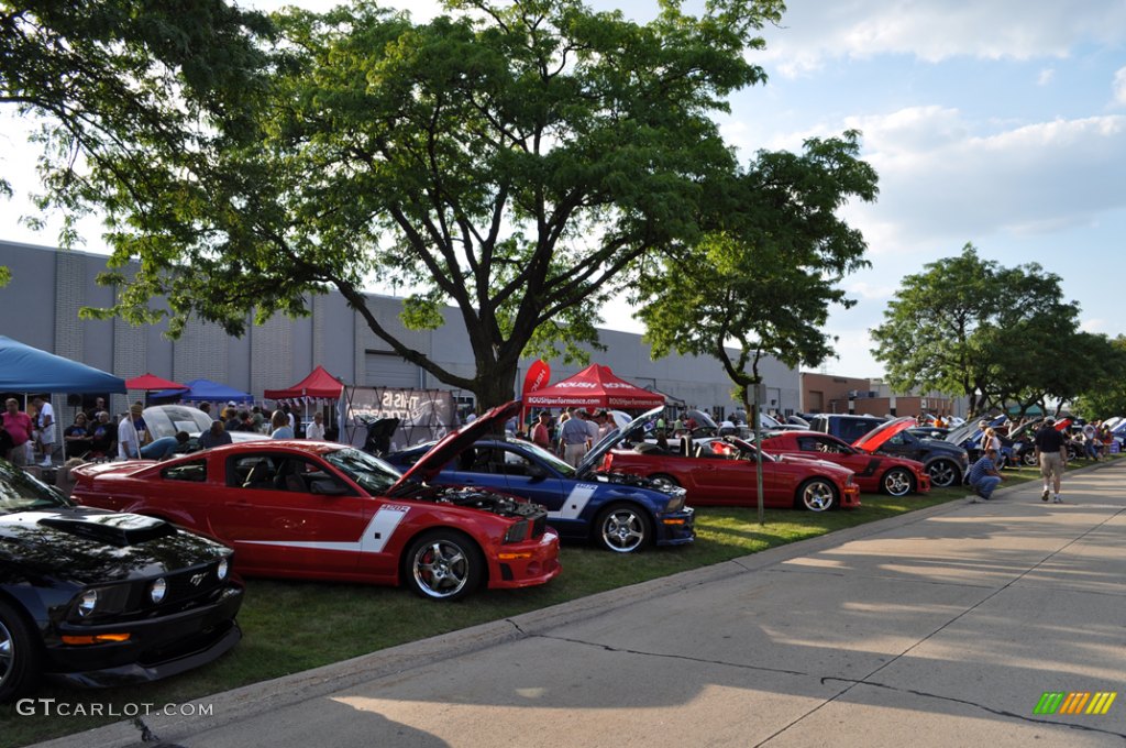 A super line up of Roush Mustangs