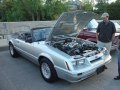 Fox Body Convertable