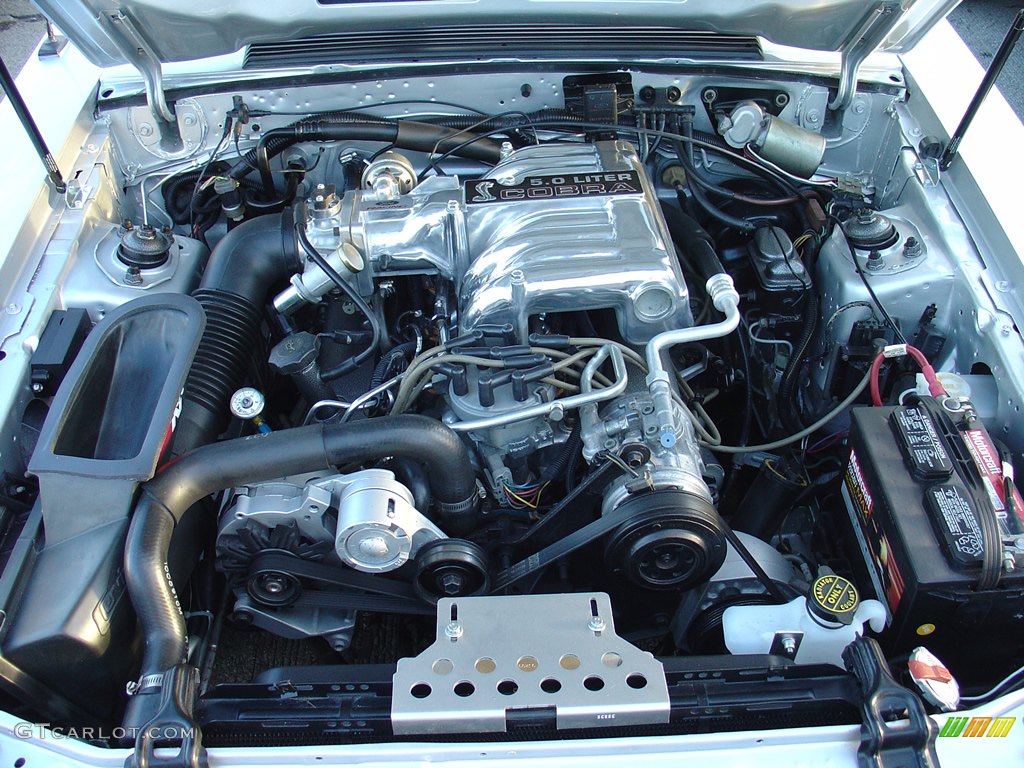 302 Small Block Cobra