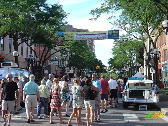 2010 Ann Arbor Rolling Sculpture Car Show