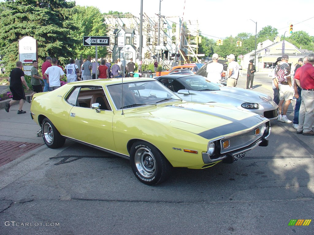 1973 AMC Javelin 304 V8