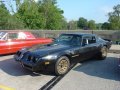 1981 Trans Am 6.6