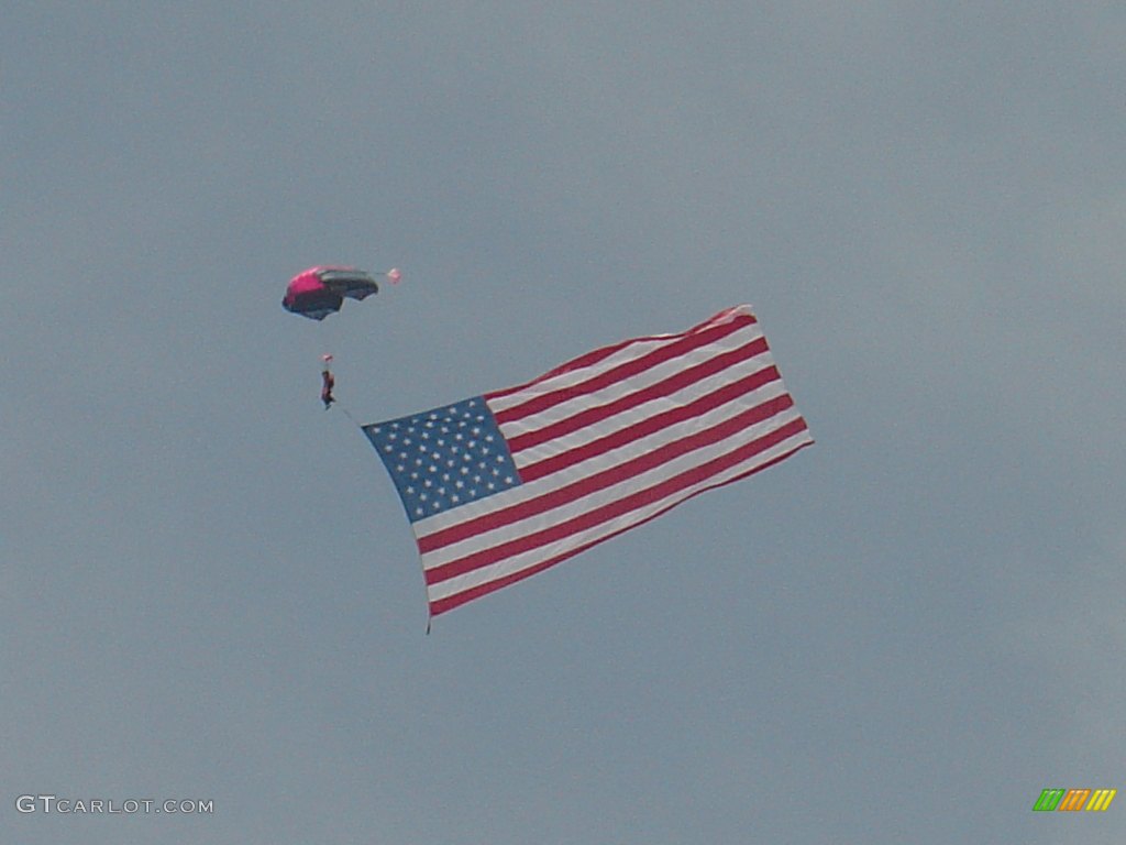 Gosh she's pretty. The woman skydivers not to bad either.